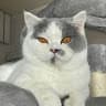 Afbeelding van locatie
