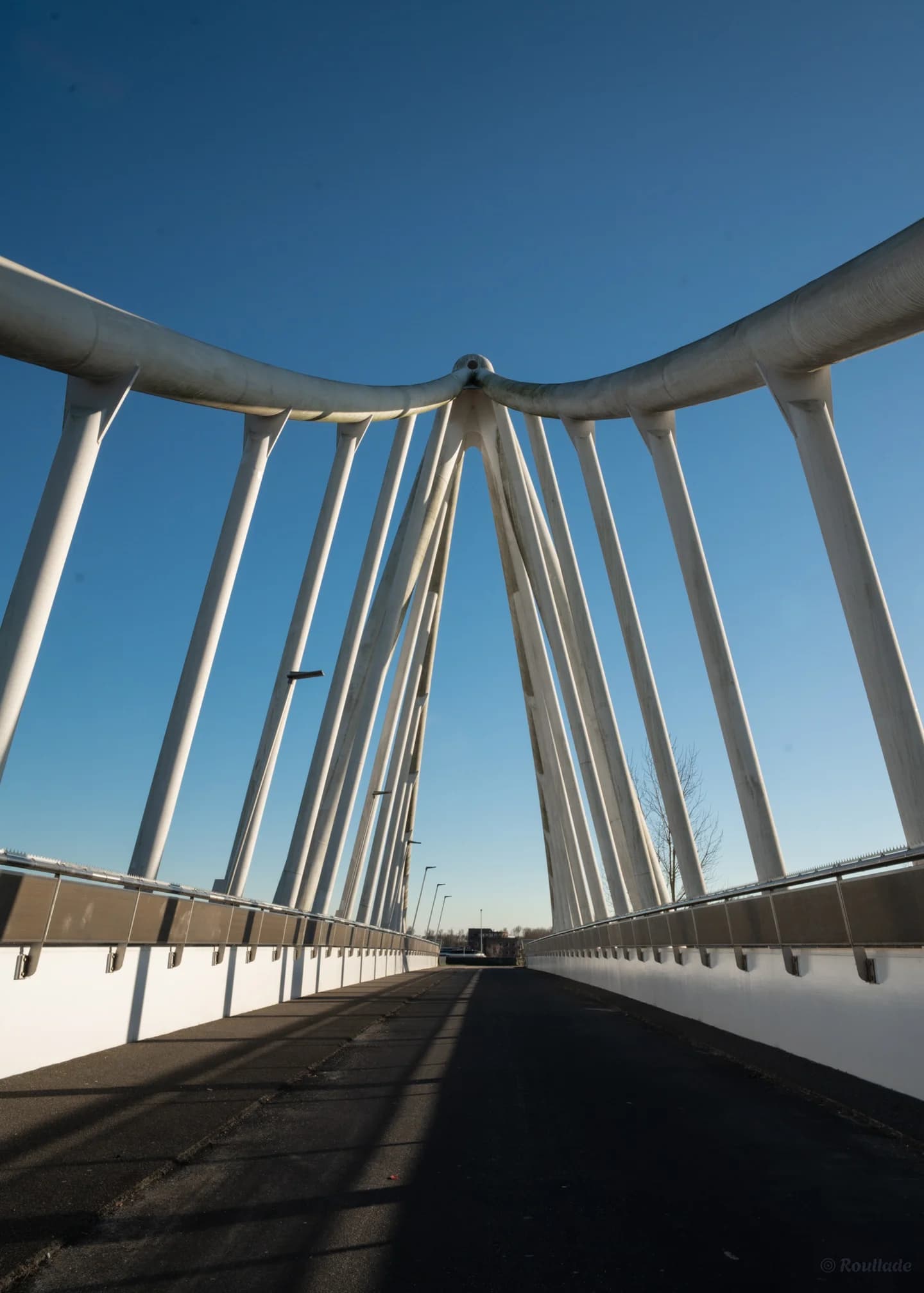 Cover De Balijbrug in Zoetermeer