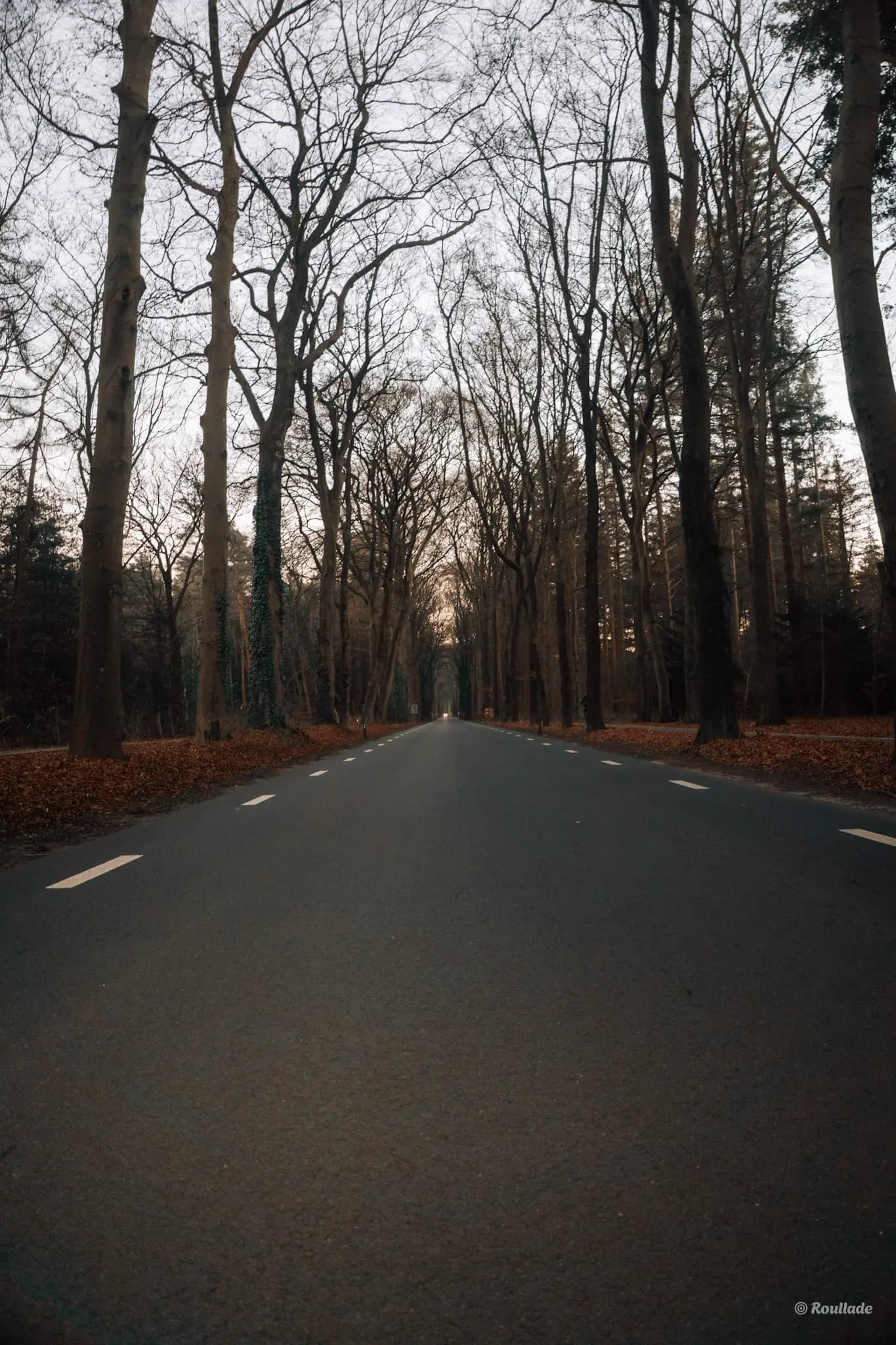 Foto van shootlocatie voor Bruiloften