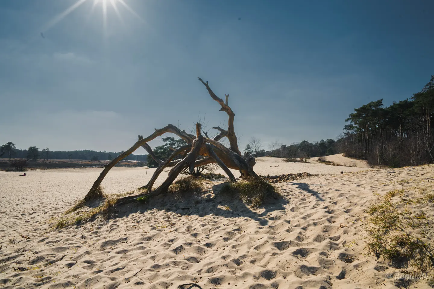 Foto van shootlocatie voor Bruiloften